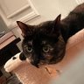 hilarium's profile picture