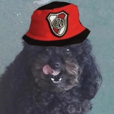 Kevin con K de Kuka McKuka's profile picture