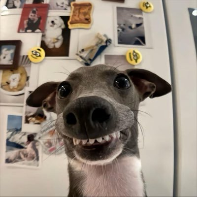 SallySm004's profile picture