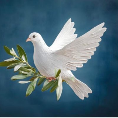 Charya Hen's profile picture