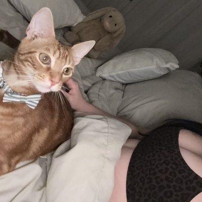 Nana Torganar's profile picture