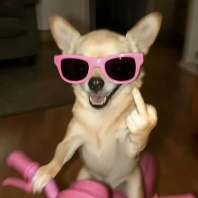 minitadelmate's profile picture