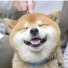 Profilbild von 赤身肉