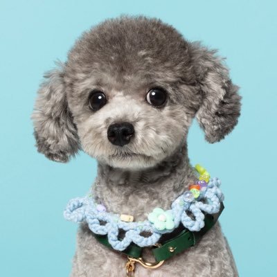 littletaeng_ss's profile picture