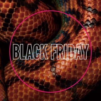 blackfriday_tokyo's profile picture