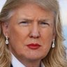 Profilbild von FDT