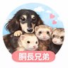 胴長兄弟 的头像