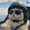 Profilbild von 猪爸爸
