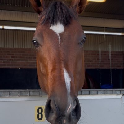 おぱんち's profile picture