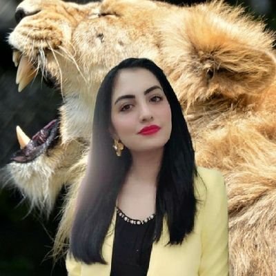 نون لیگ کی شیرنی's profile picture