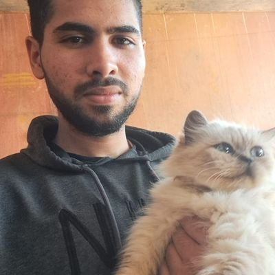 ENG. Fadi -🇵🇸's profile picture