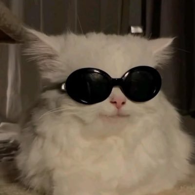 NITOBIM1's profile picture