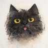 Фото профиля にゃん