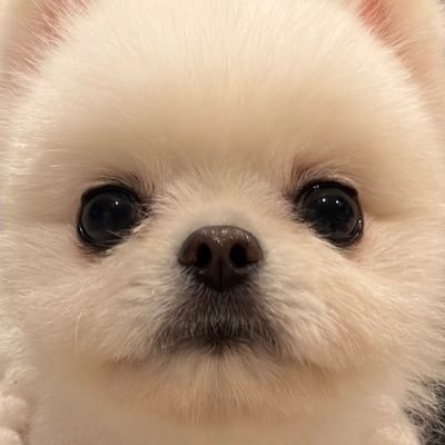 Omochichan914_'s profile picture