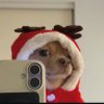 Profilbild von Big Lee
