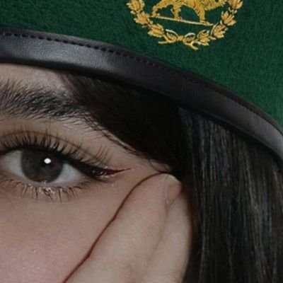 بال پروانه's profile picture