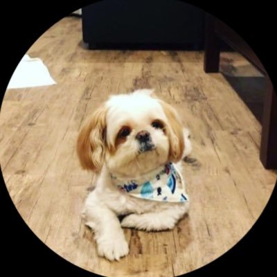 Cigar4626's profile picture