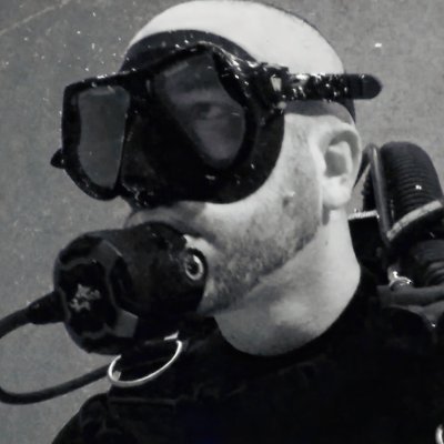 Frank Fighting For Freedom 🗡️🇺🇸's profile picture