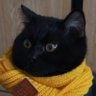Profilbild von MintJeezy