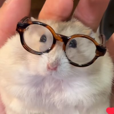 cookie 🍪's profile picture
