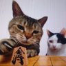 y's profile picture