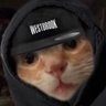 Profilbild von AlwayzHoodie