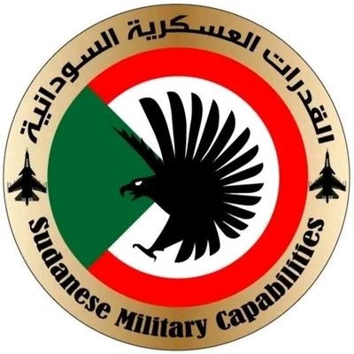 القدرات العسكرية السودانية🇸🇩's profile picture
