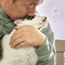 ねこオアシスオハナの人's profile picture