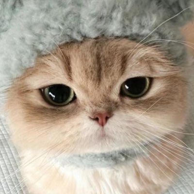 medusa_TP's profile picture