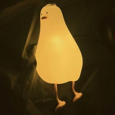 yan's profile picture