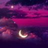 stormpegss's profile picture