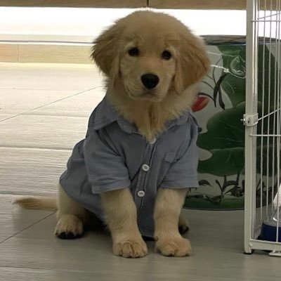 MeBLINKK's profile picture