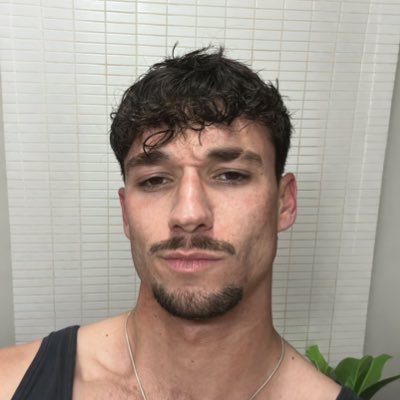Aarón Araque Gracia's profile picture