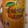 しゅうまい 的头像