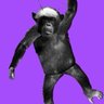 MonKeys's profile picture