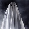 Profilbild von The Ghost Comment