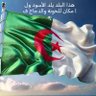Fares Saidi's profile picture