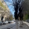 Abdou🇩🇿🔻 profil fotoğrafı