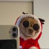 Fvncy's profile picture