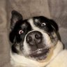 Profilbild von Mac Weaver