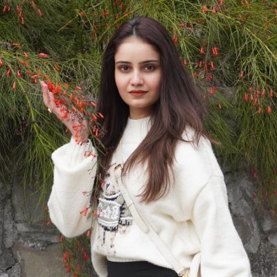 NimrtaSh's profile picture