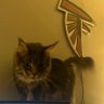 Isaac profil fotoğrafı