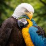 Фото профиля Universo Magistral