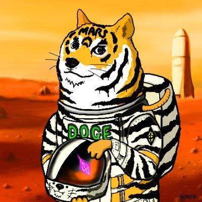GONOGO_Korea's profile picture