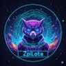 Zpilota profil fotoğrafı