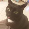 Gaia's profile picture