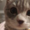 喽的救赎's profile picture