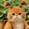 小胖橘(AIGC) profil fotoğrafı