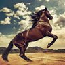 بديع الزمان profil fotoğrafı