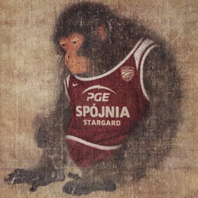 typbezkontaktow's profile picture